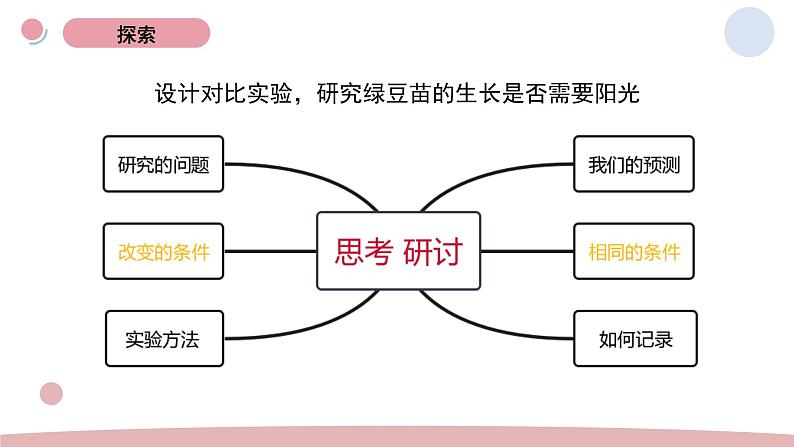 1.3 绿豆苗的生长 教科版五年级下册课件＋教案（2023春新版）03