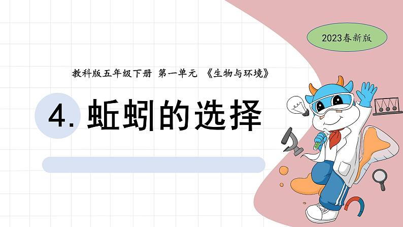 4.蚯蚓的选择 教学课件第1页