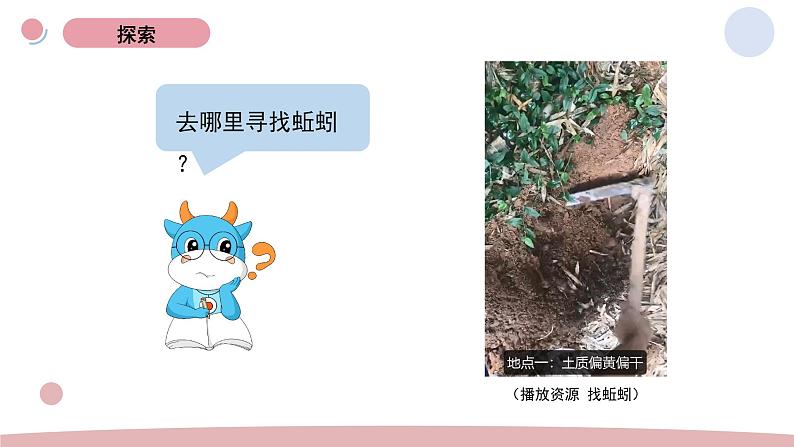 4.蚯蚓的选择 教学课件第3页