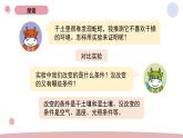 1.4 蚯蚓的选择 教科版五年级下册课件＋教案（2023春新版）