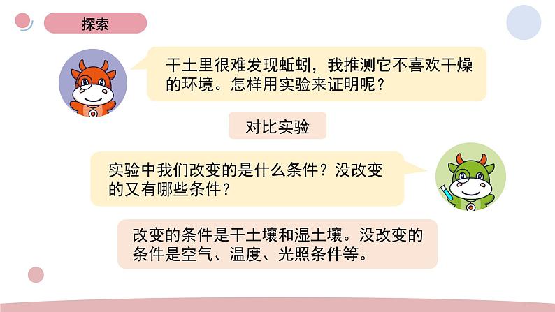 4.蚯蚓的选择 教学课件第4页