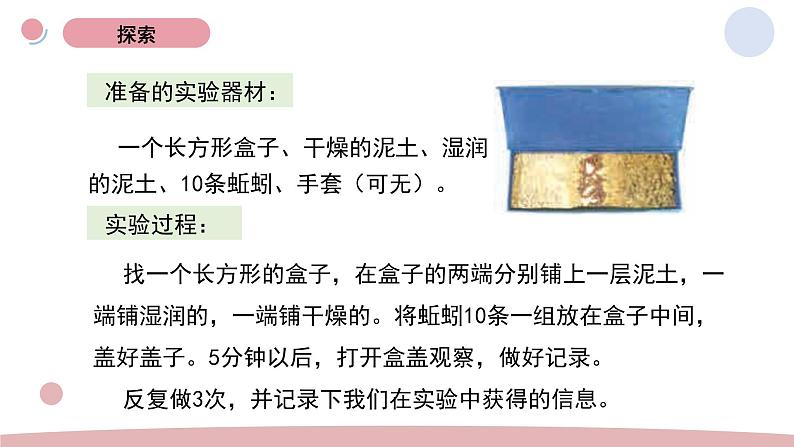 4.蚯蚓的选择 教学课件第5页