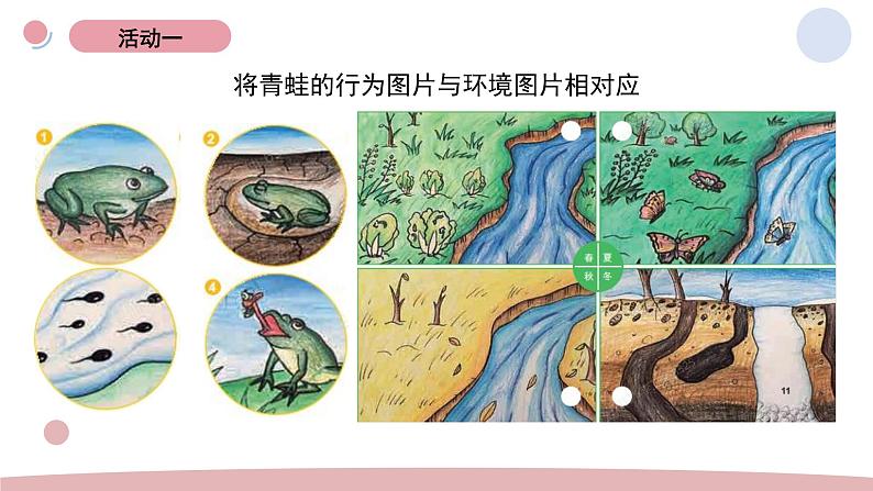 5.《当环境改变了》教学课件第5页