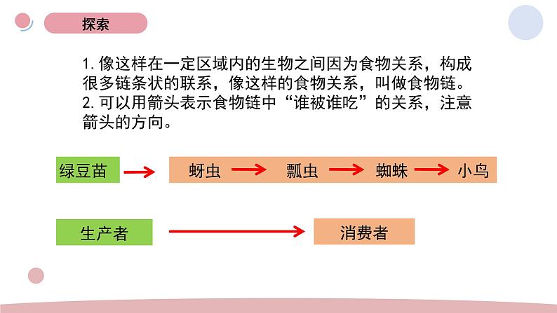 6.食物链与食物网 教学课件第6页