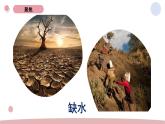 3.3 珍惜水資源 教科版五年級(jí)下冊(cè)課件＋教案（2023春新版）