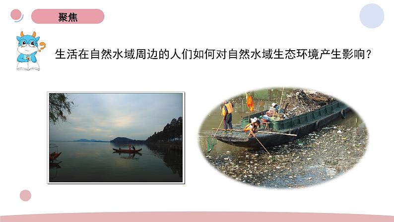 3.7 分析一个实际的环境问题 教科版五年级下册课件＋教案（2023春新版）03