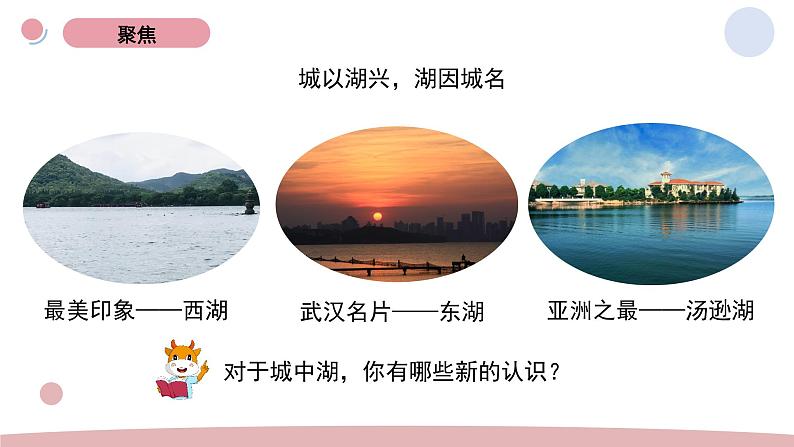 3.7 分析一个实际的环境问题 教科版五年级下册课件＋教案（2023春新版）05