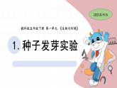 1.1 种子的发芽实验 教科版五年级下册课件＋教案（2023春新版）