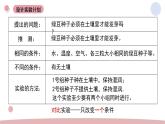 1.1 种子的发芽实验 教科版五年级下册课件＋教案（2023春新版）