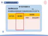 1.1 种子里孕育着新生命 教科版四年级下册课件＋教案（2023春新版）