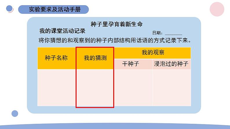 1.种子里孕育着新生命第5页