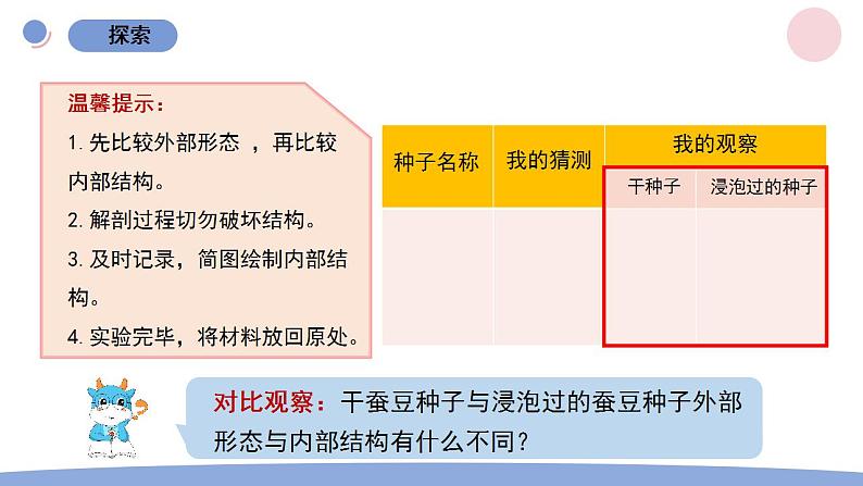 1.种子里孕育着新生命第7页