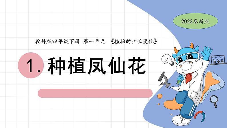 2.种植凤仙花第1页