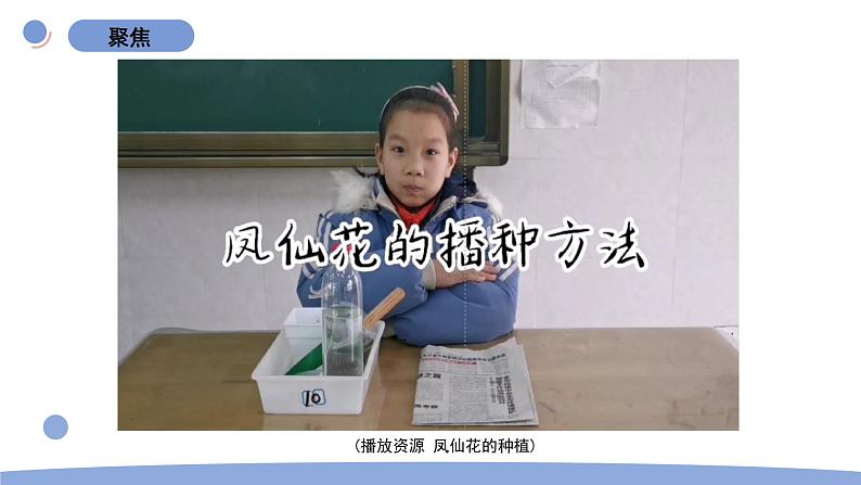 2.种植凤仙花第3页