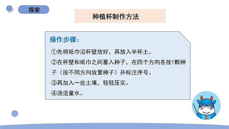 2.种植凤仙花第7页