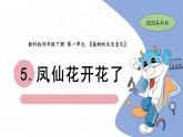1.5 鳳仙花開花了 教科版四年級下冊課件＋教案（2023春新版）