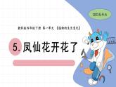 1.5 凤仙花开花了 教科版四年级下册课件＋教案（2023春新版）