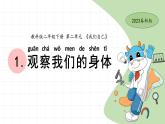 二下2-1观察我们的身体 教科版二年级下册课件＋教案