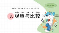 小学科学教科版 (2017)二年级下册3.观察与比较优质ppt课件