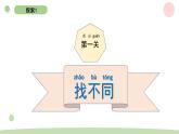 二下2-3观察与比较 教科版二年级下册课件＋教案（2023春新版）