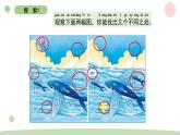 二下2-3觀察與比較 教科版二年級下冊課件＋教案