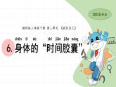 二下2-6身體的時間膠囊 教科版二年級下冊課件＋教案