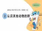 2.2 认识其他动物的卵 教科版三年级下册课件＋教案（2023春新版）