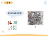 2.2 认识其他动物的卵 教科版三年级下册课件＋教案（2023春新版）