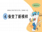 2.4 蠶變了新模樣 教科版三年級下冊課件＋教案（2023春新版）