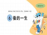 2.6 蚕的一生 教科版三年级下册课件＋教案（2023春新版）