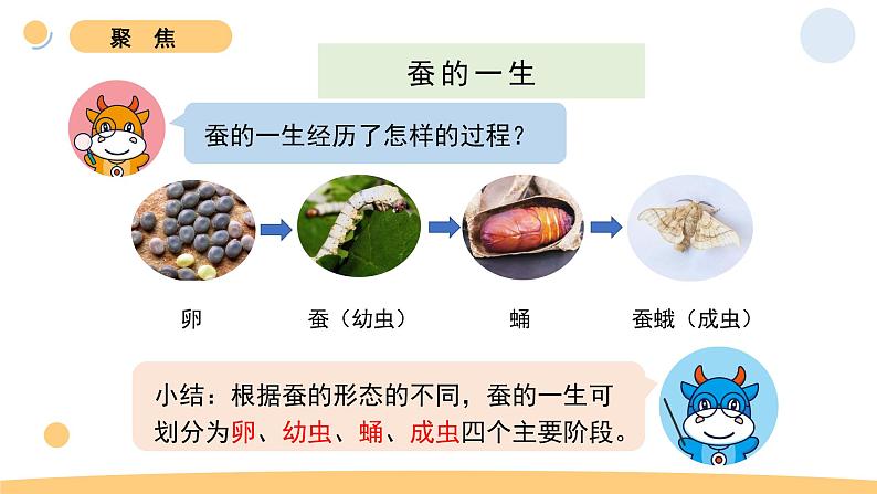 6.蚕的一生第3页