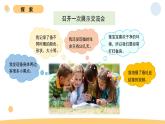 2.6 蚕的一生 教科版三年级下册课件＋教案（2023春新版）