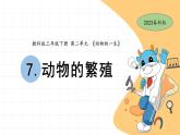 2.7 動物的繁殖 教科版三年級下冊課件＋教案（2023春新版）