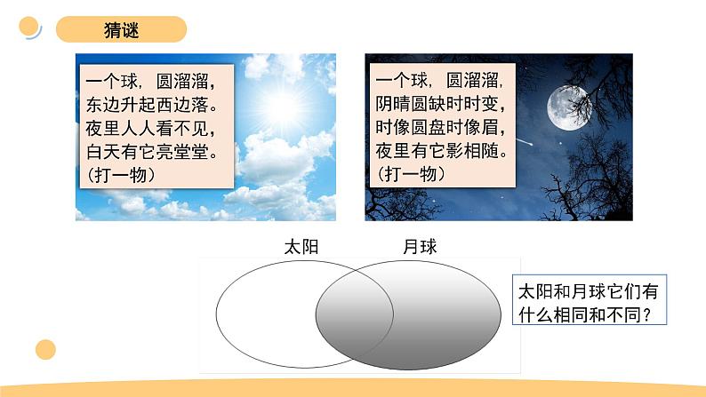 3.1 仰望天空 教科版三年级下册课件＋教案（2023春新版）02