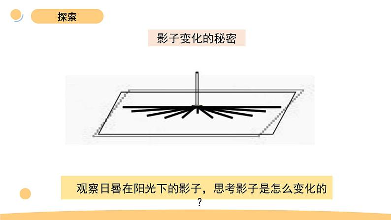 3.3 影子的秘密 教科版三年级下册课件＋教案（2023春新版）07