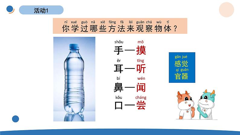 1.5 观察一瓶水 教科版一年级下册课件＋教案（2023春新版）03