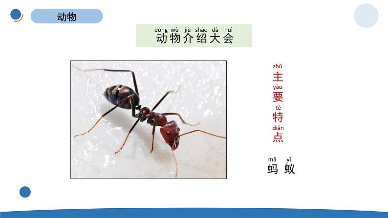 一下2-1《我们知道的动物》第4页