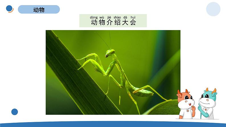 一下2-1《我们知道的动物》第7页