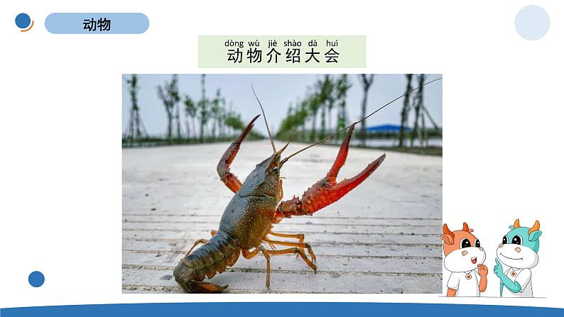 一下2-1《我们知道的动物》第8页