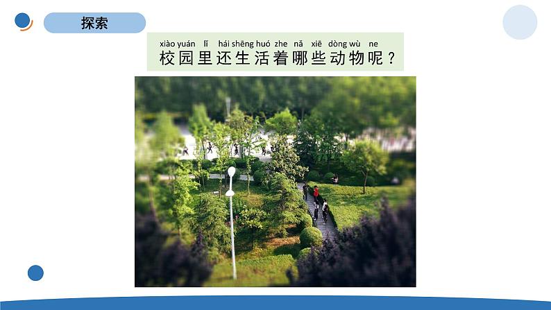 一下2-2《校园里的动物》 教科版一年级下册课件＋教案（2023春新版）04