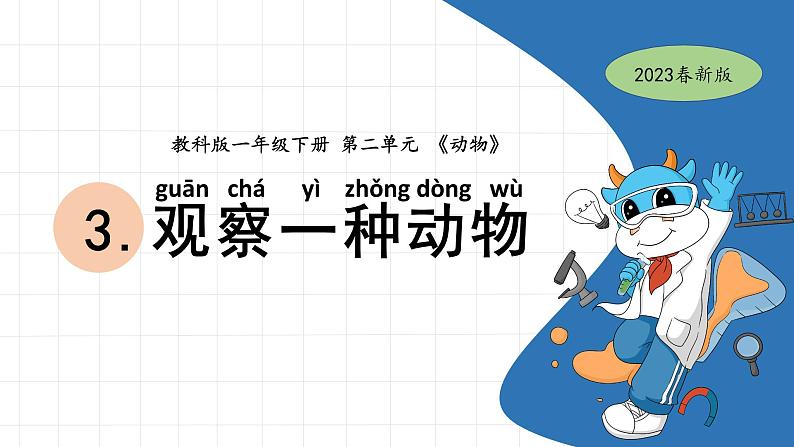 一下2-3《观察一种动物》  教科版一年级下册课件＋教案（2023春新版）01