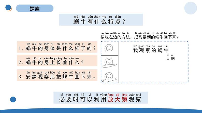 一下2-3《观察一种动物》  教科版一年级下册课件＋教案（2023春新版）03