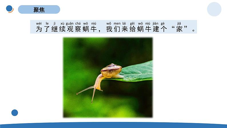 一下2-4《给动物建个“家”》 教科版一年级下册课件＋教案（2023春新版）02