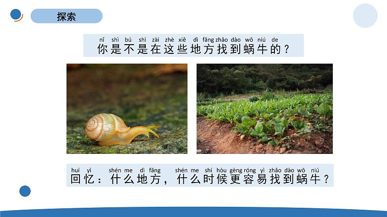 一下2-4《给动物建个“家”》 教科版一年级下册课件＋教案（2023春新版）04