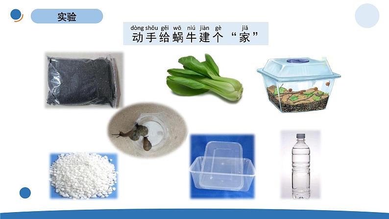 一下2-4《给动物建个“家”》 教科版一年级下册课件＋教案（2023春新版）06