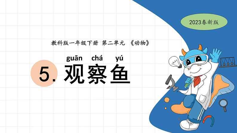 一下2-5《观察鱼》 教科版一年级下册课件＋教案（2023春新版）01