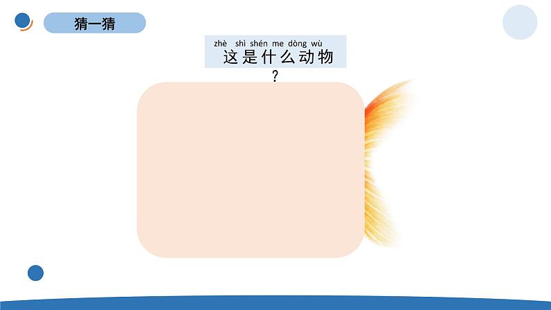 一下2-6《给动物分类》 教科版一年级下册课件＋教案（2023春新版）03