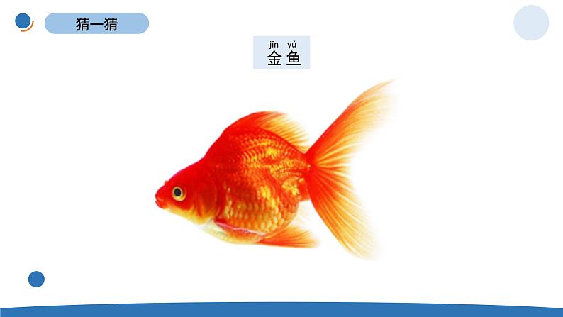 一下2-6《给动物分类》 教科版一年级下册课件＋教案（2023春新版）04