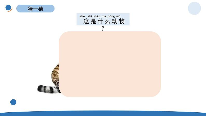 一下2-6《给动物分类》 教科版一年级下册课件＋教案（2023春新版）05