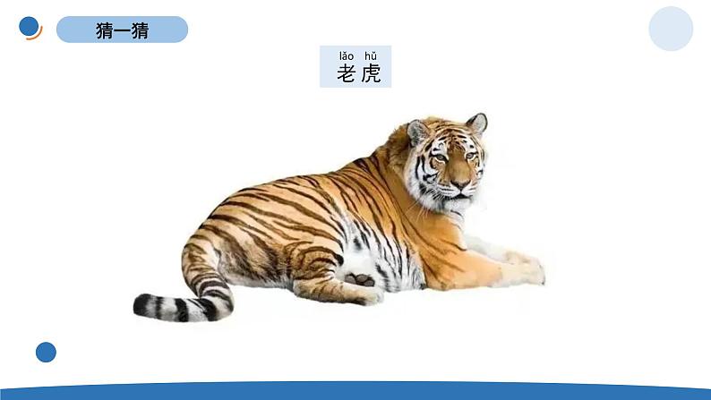 一下2-6《给动物分类》 教科版一年级下册课件＋教案（2023春新版）06